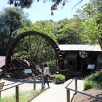 IMG_7788 (May 28, 2024)